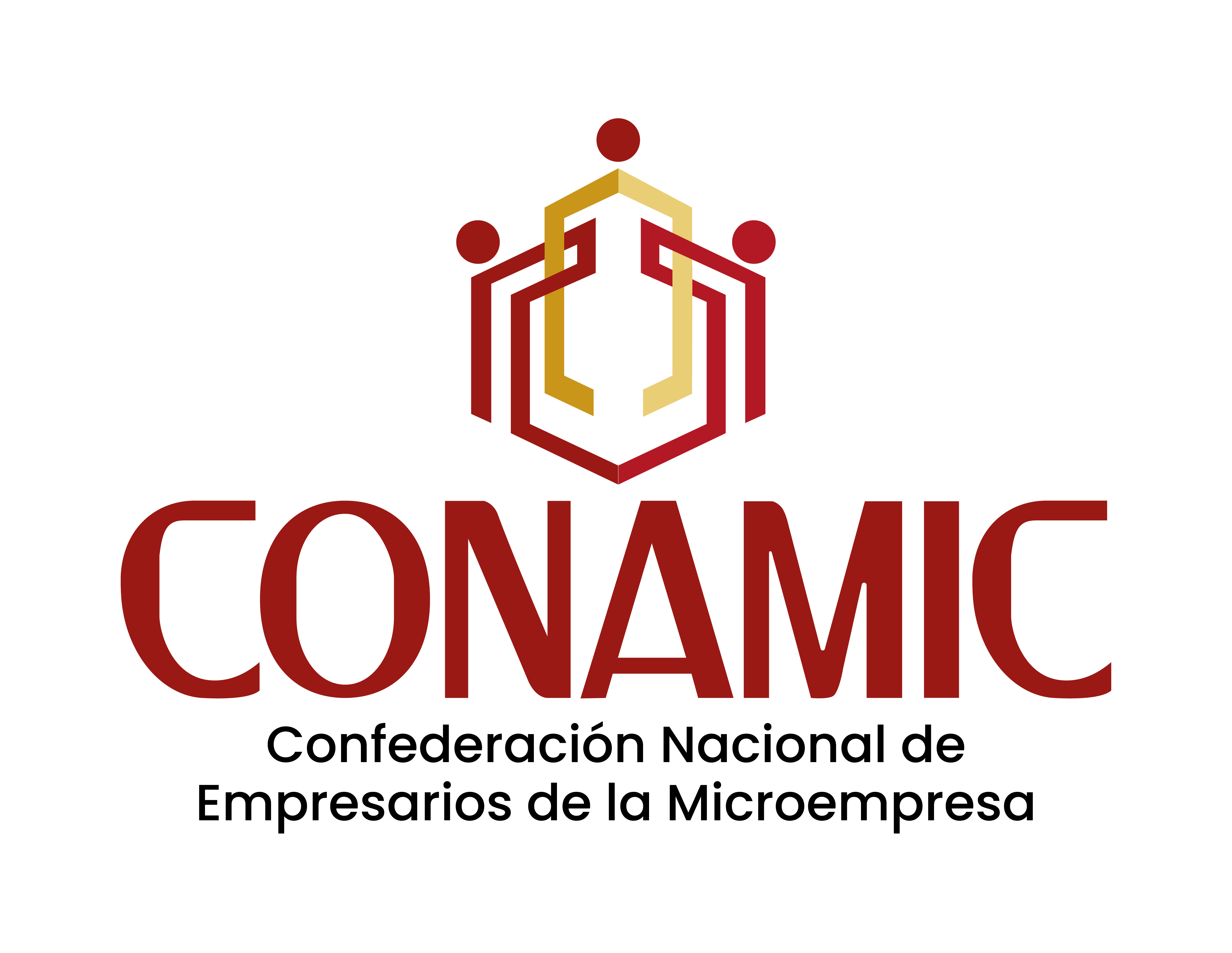 CONAMIC Logo